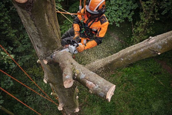 STIHL MSA 220 T 35 CM ACCUKETTINGZAAG - Afbeelding 6